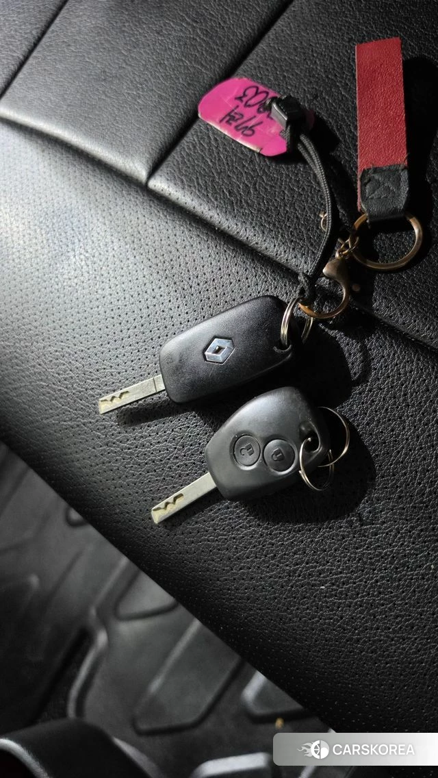 Renault Korea (Samsung) Master id 4667543 из Кореи 8