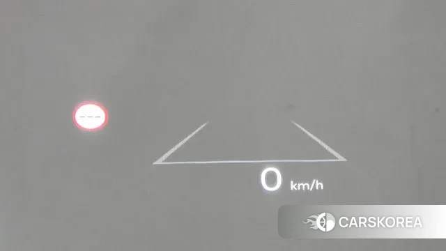 Hyundai Santa Fe (MX5) id 2993225 из Кореи 8