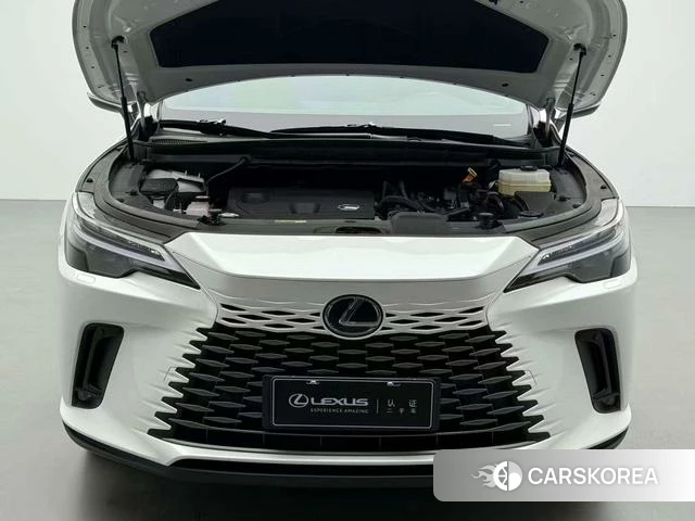 Lexus RX id 4277950 из Китая 8