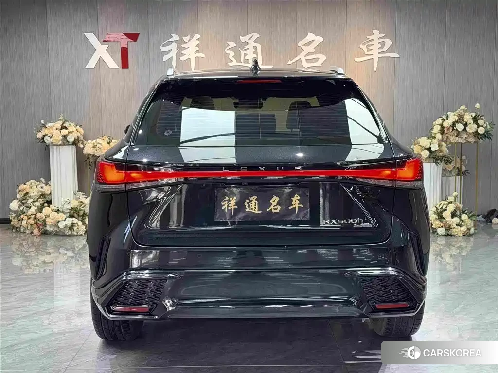 Lexus RX id 4559793 из Китая 8
