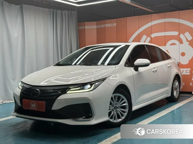 Toyota Asian lion id 4301828 из Китая 8