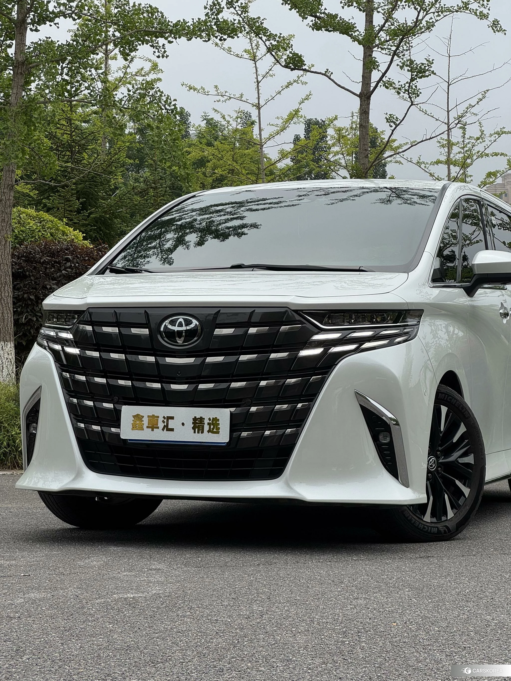 Toyota Elfa id 4454654 из Китая 8