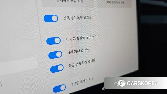 Tesla Model 3 id 4748879 из Кореи 8