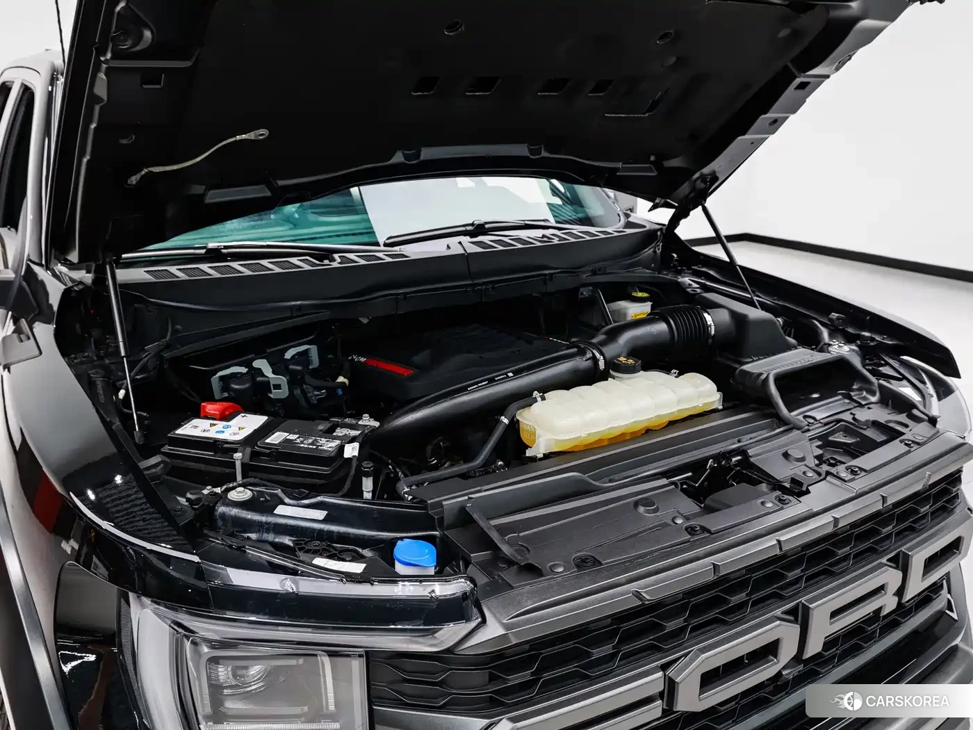 Ford F-150 id 4686027 из Китая 8