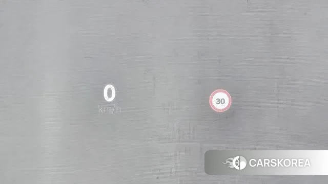 Renault Korea (Samsung) Grand Coleos id 3576069 из Кореи 8