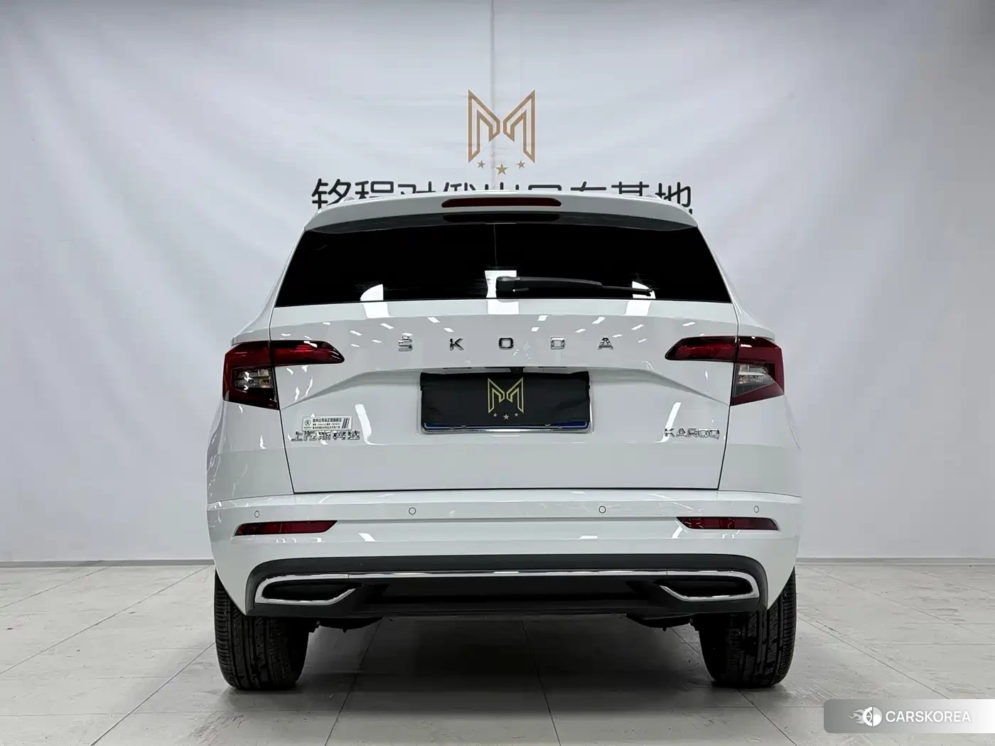Skoda Krok id 4539010 из Китая 8