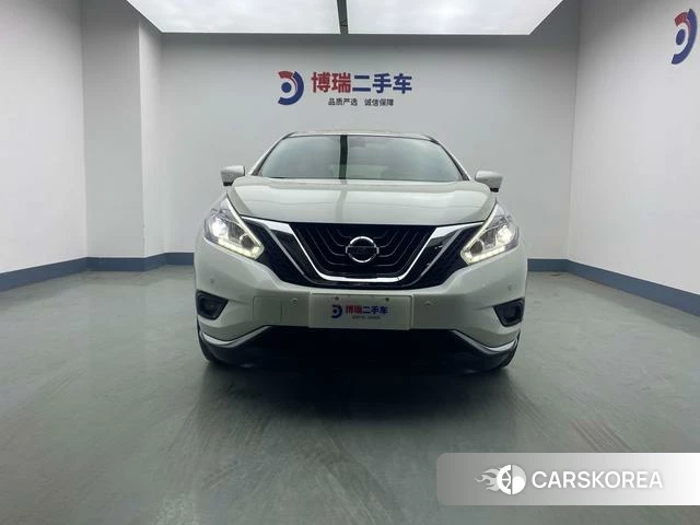 Nissan Loulan id 4258907 из Китая 8
