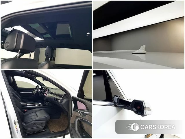 Audi e-Tron id 3860003 из Кореи 8