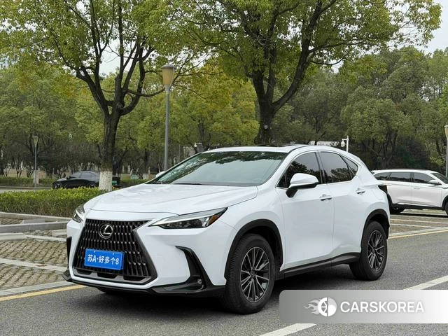 Lexus NX id 4209884 из Китая 8