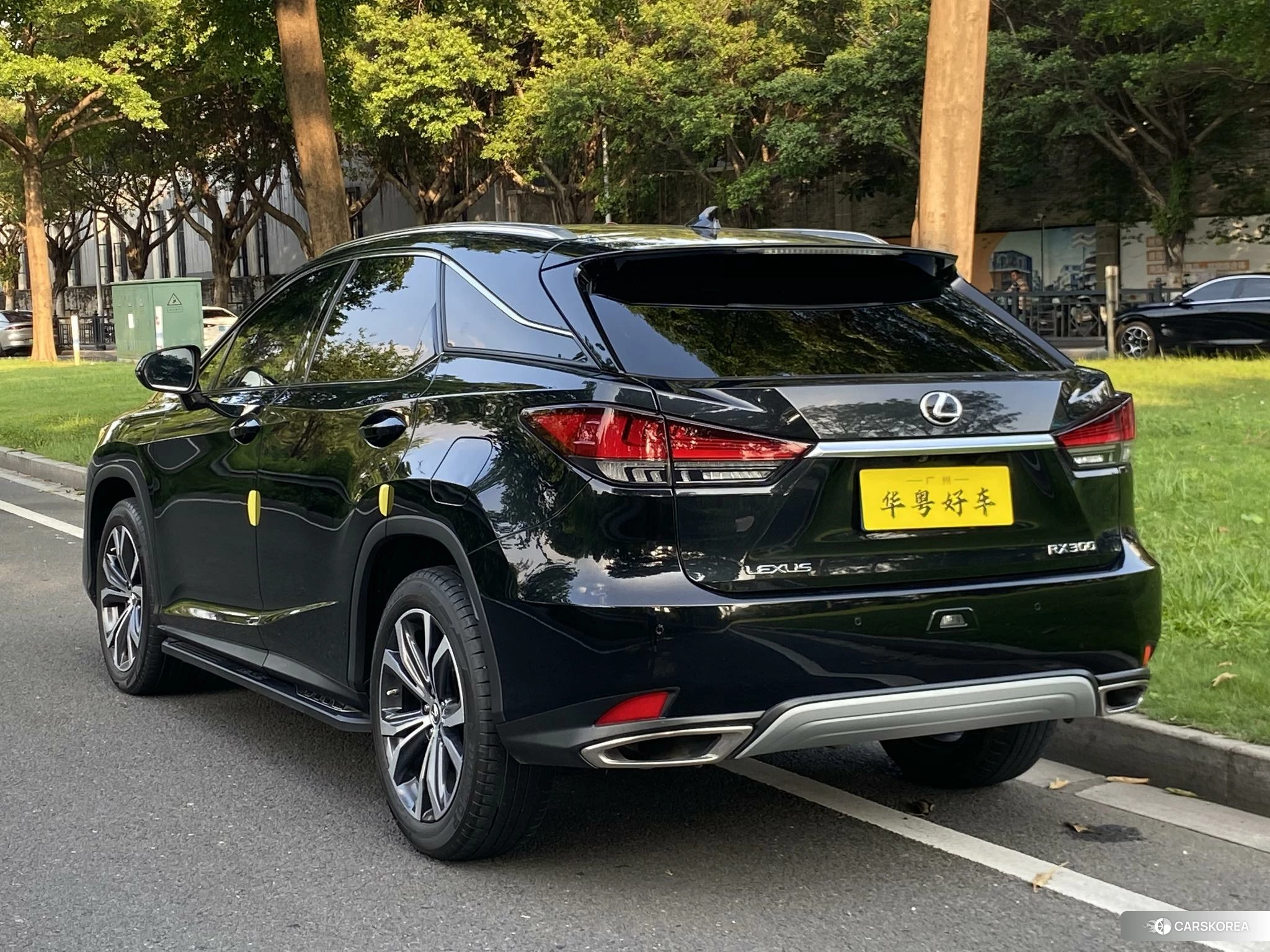 Lexus RX id 4426867 из Китая 8