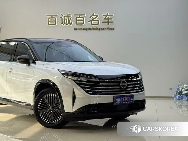 Nissan Exploring the land id 4278421 из Китая 8
