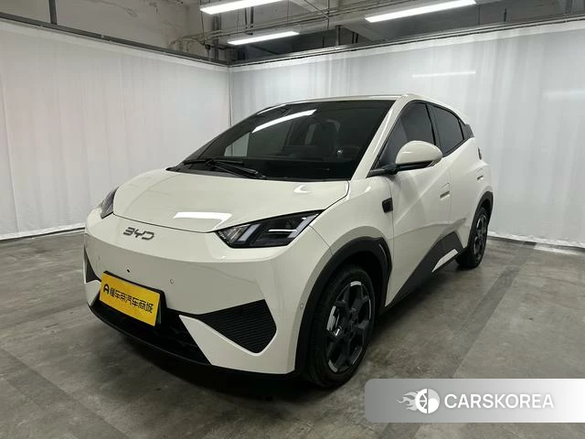 BYD Seagull id 4028236 из Китая 8