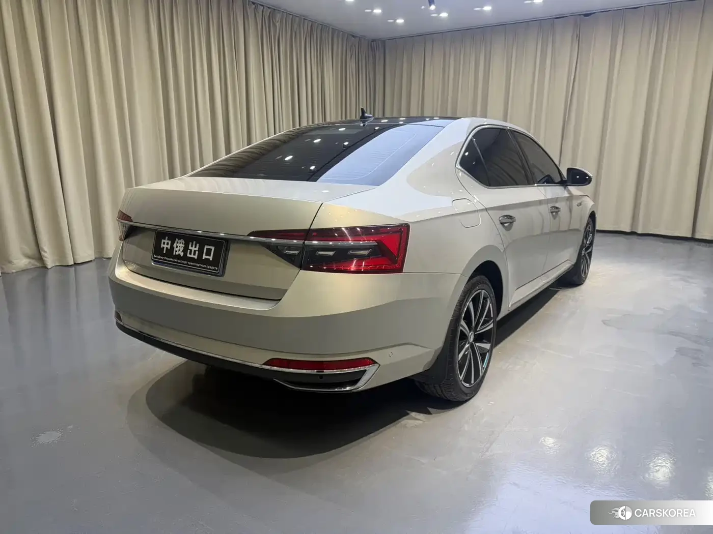 Skoda Speed pie id 4553739 из Китая 8