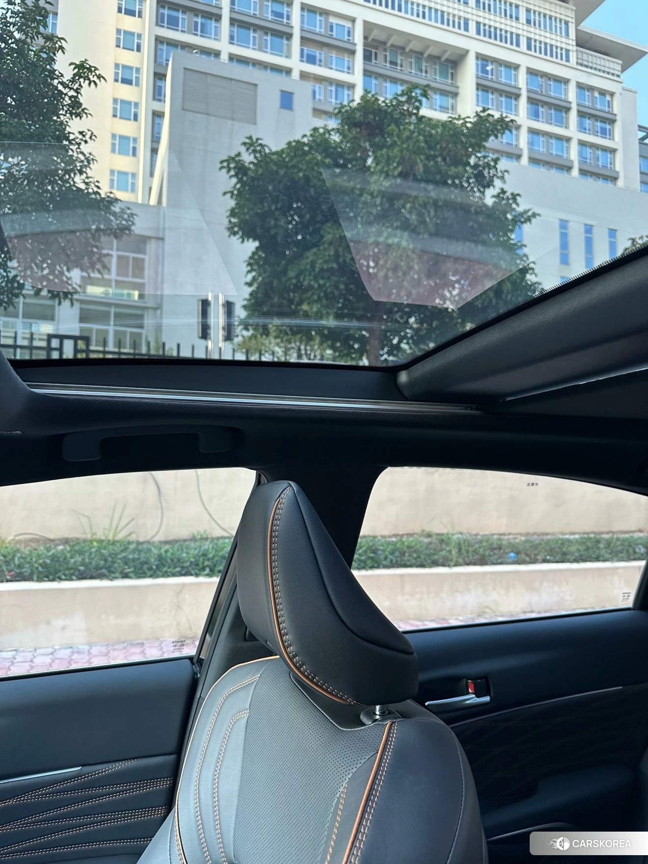 Toyota Asian dragon id 4512741 из Китая 8