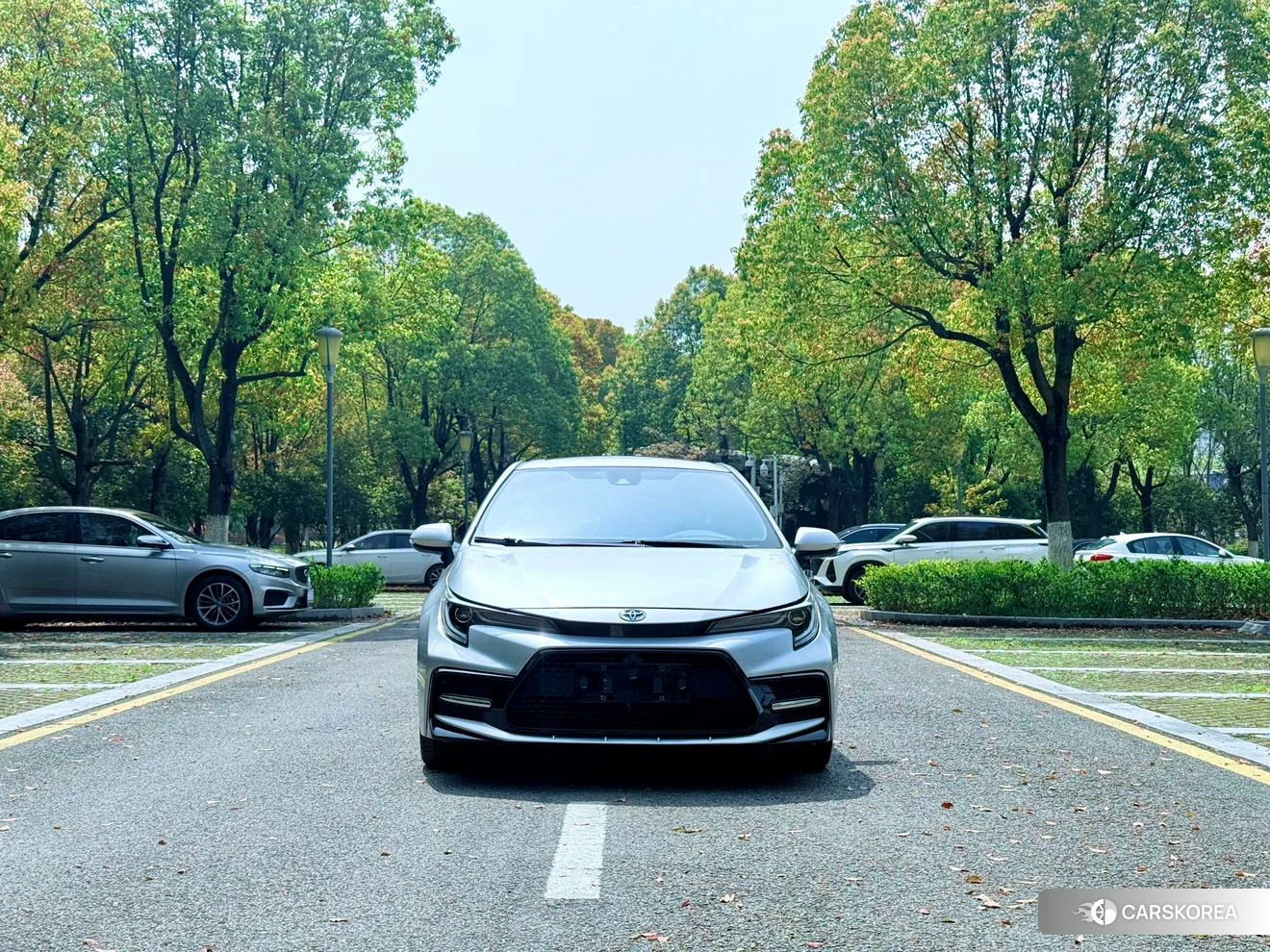 Toyota Lei Ling 2020 Серебристо-серый из Китая, фото 6