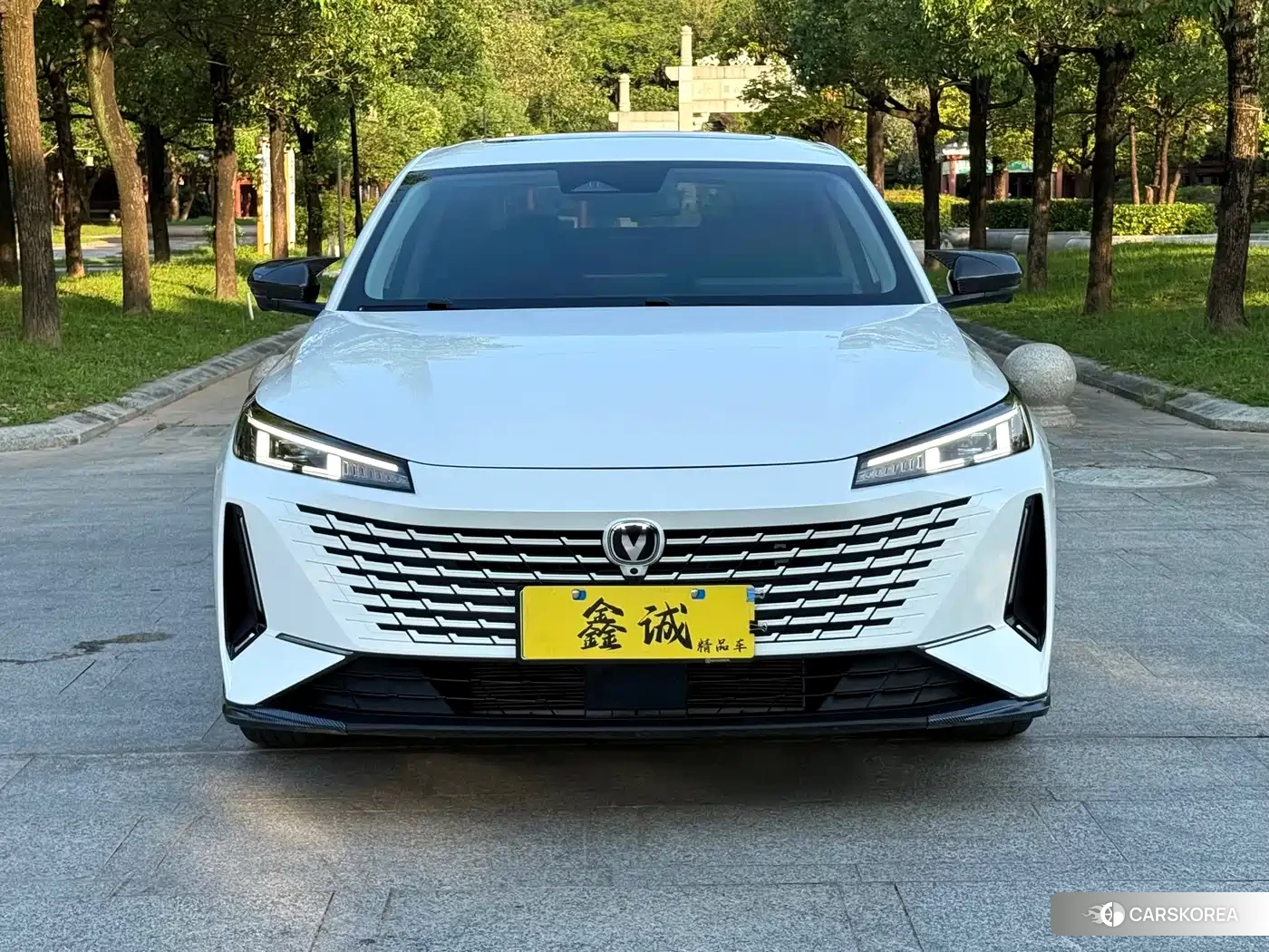 Chang'an Yida id 4622347 из Китая 8