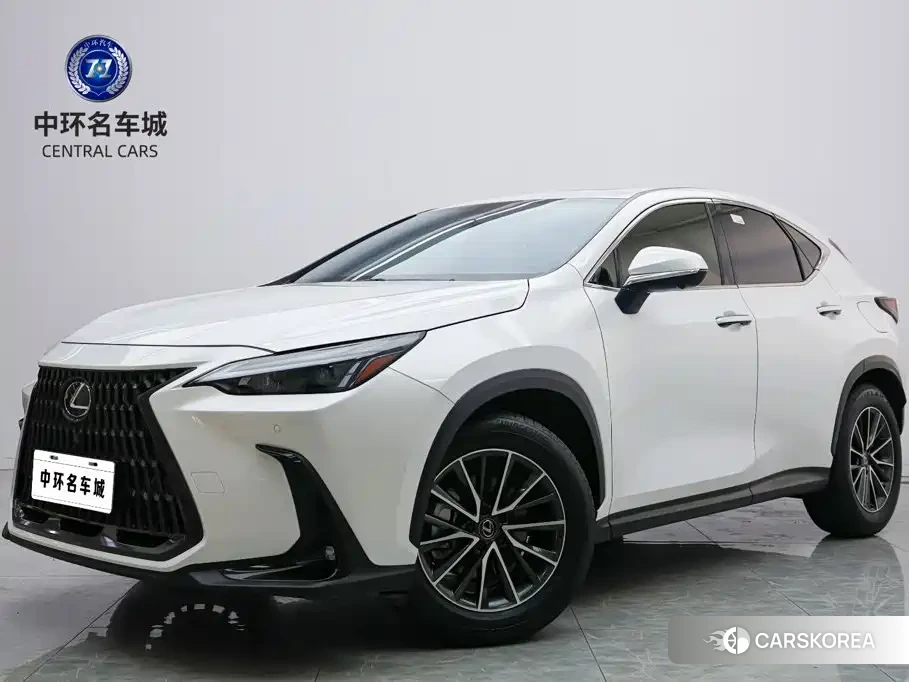 Lexus NX id 4628084 из Китая 8