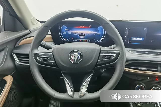 Buick Weilang id 4212475 из Китая 8