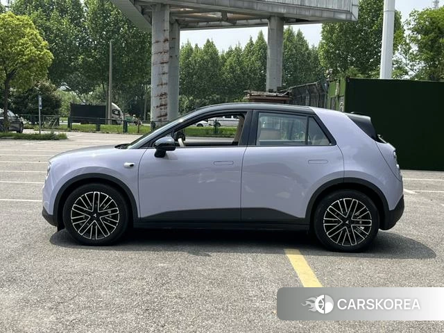 firefly firefly Unknown id 3993380 из Китая 8