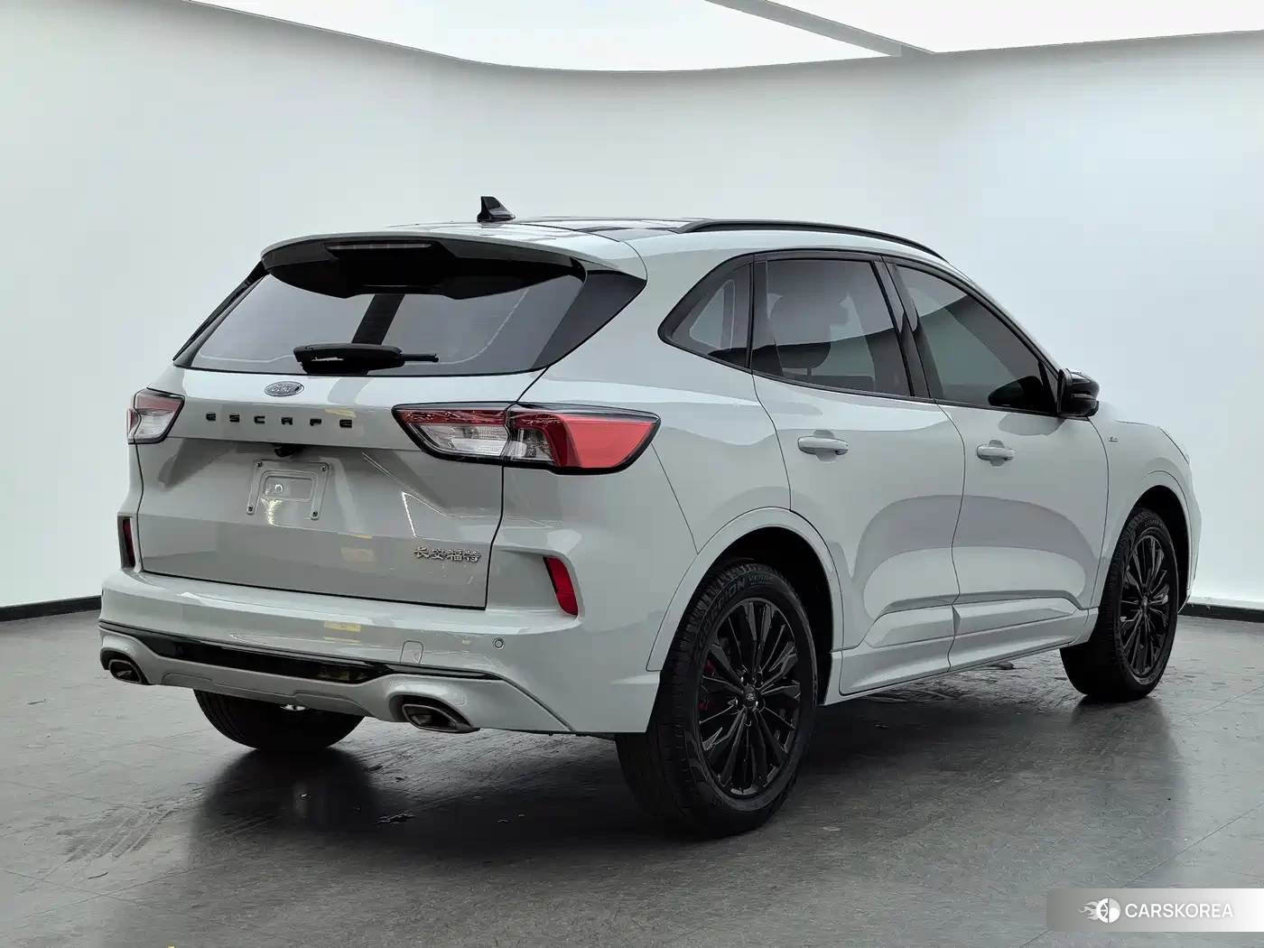 Ford Ruiji id 4546262 из Китая 8