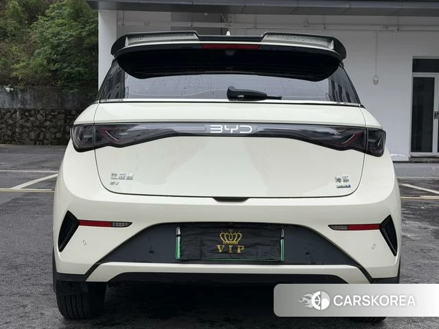 BYD dolphin id 4205632 из Китая 8