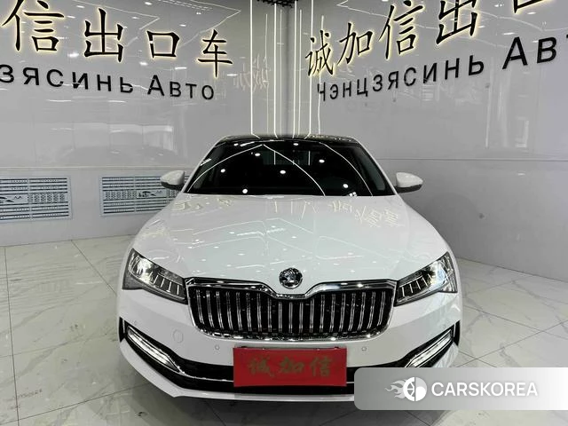 Skoda Speed pie id 4368045 из Китая 8