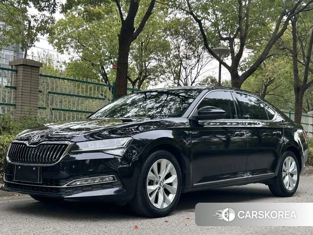 Skoda Speed pie id 4221421 из Китая 8