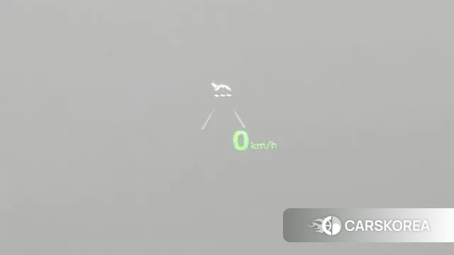 Genesis G90 id 3489491 из Кореи 8