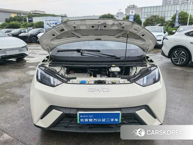 BYD Seagull id 4213284 из Китая 8