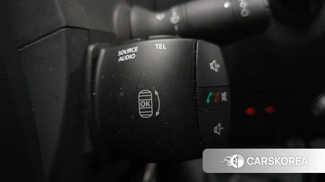 Renault Korea (Samsung) Master id 4620230 из Кореи 8