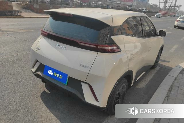 BYD Seagull id 4218727 из Китая 8