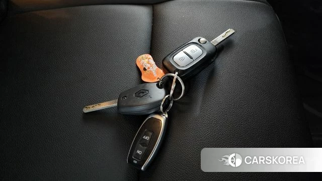 Renault Korea (Samsung) Master id 4637323 из Кореи 8