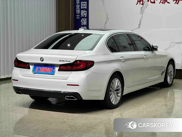 BMW 5 series PHEV id 4257269 из Китая 8