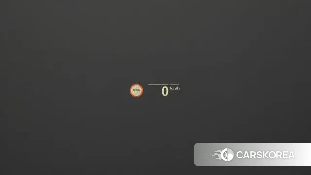 BMW X4 (G02) id 3015968 из Кореи 8