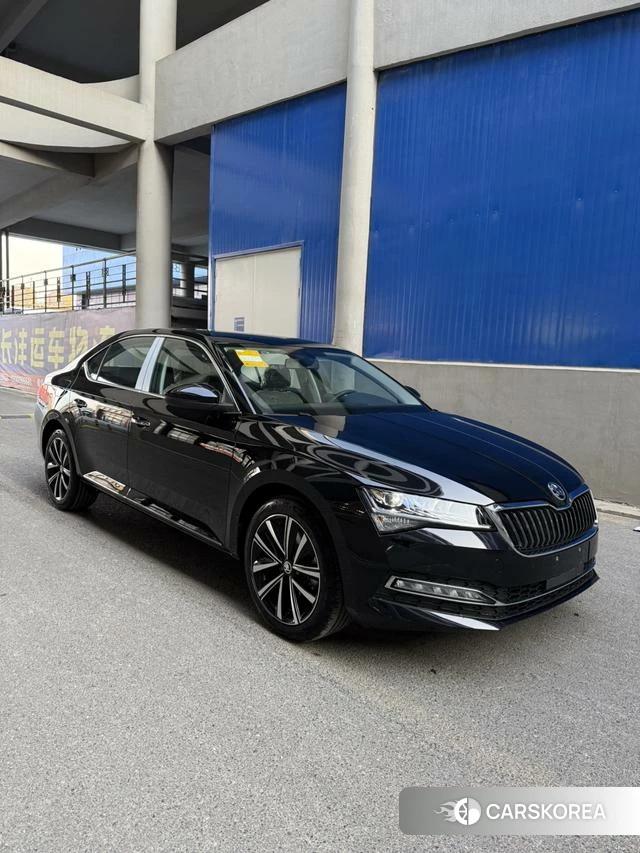 Skoda Speed pie id 4182603 из Китая 8
