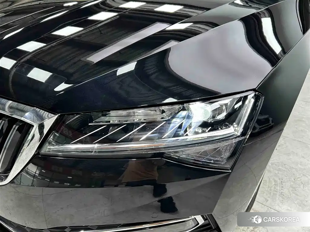 Skoda Speed pie id 4565175 из Китая 9