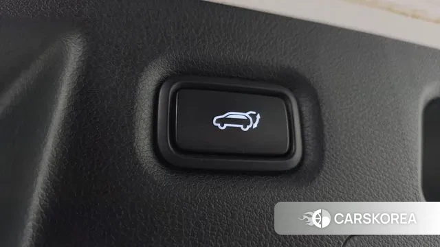 Hyundai Santa Fe TM id 3034008 из Кореи 9