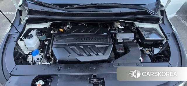 Kia The New Carnival id 3672188 из Кореи 9