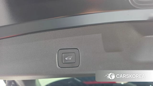 Chevrolet (GM Daewoo) Trailblazer id 4696669 из Кореи 9