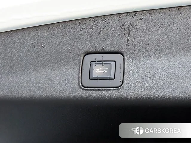 Chevrolet (GM Daewoo) Trailblazer id 3524300 из Кореи 9