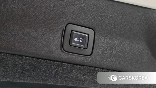 Chevrolet (GM Daewoo) Trailblazer id 4958845 из Кореи 9