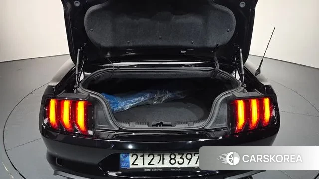 Ford Mustang id 3405599 из Кореи 9