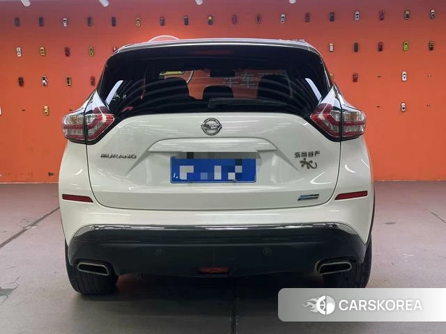 Nissan Loulan id 4208371 из Китая 9