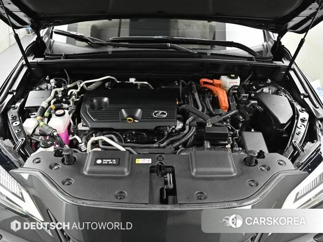 Lexus NX450h + 2nd generation id 4618315 из Кореи 9