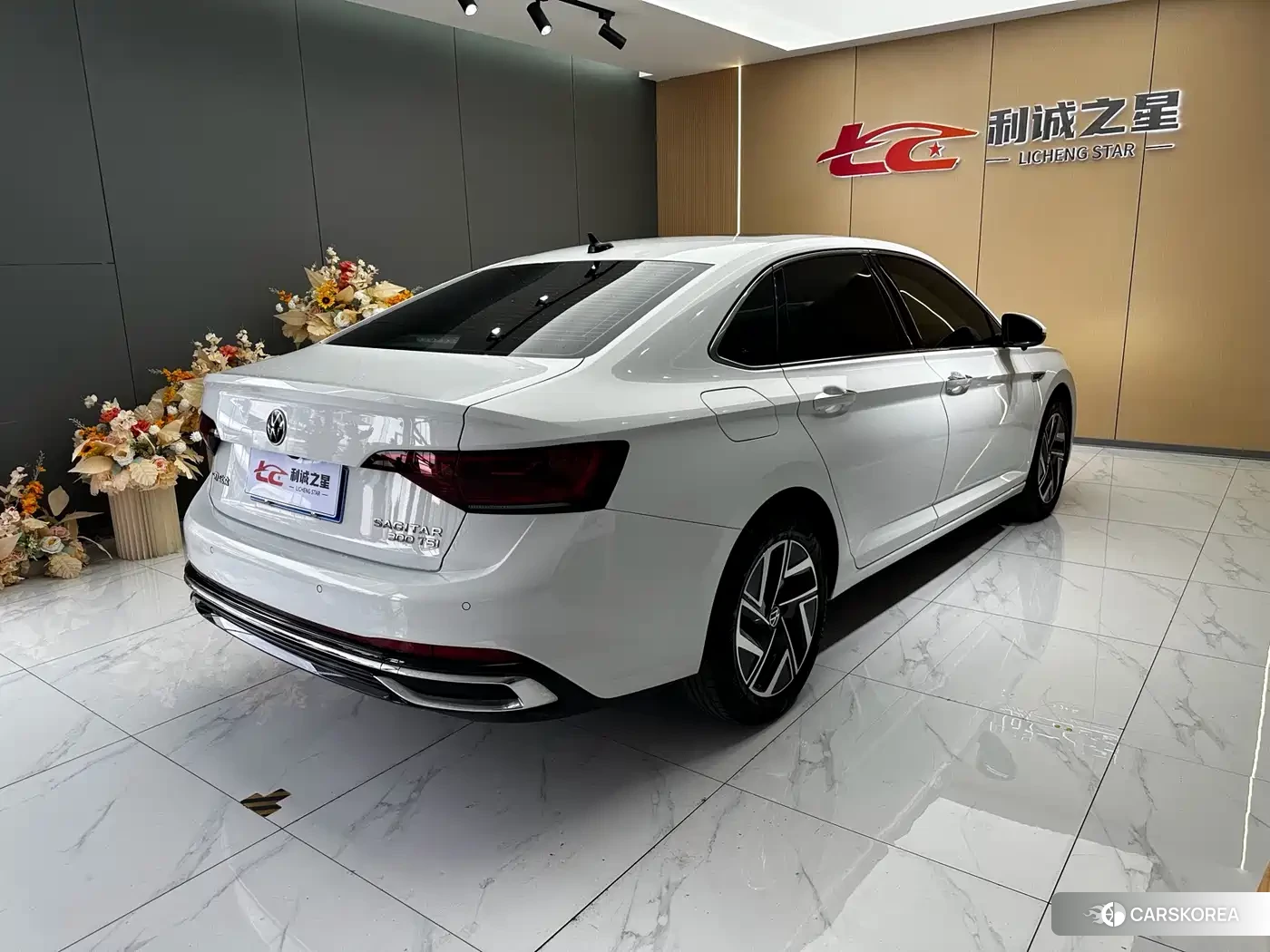 Volkswagen Sagitar id 4601161 из Китая 9