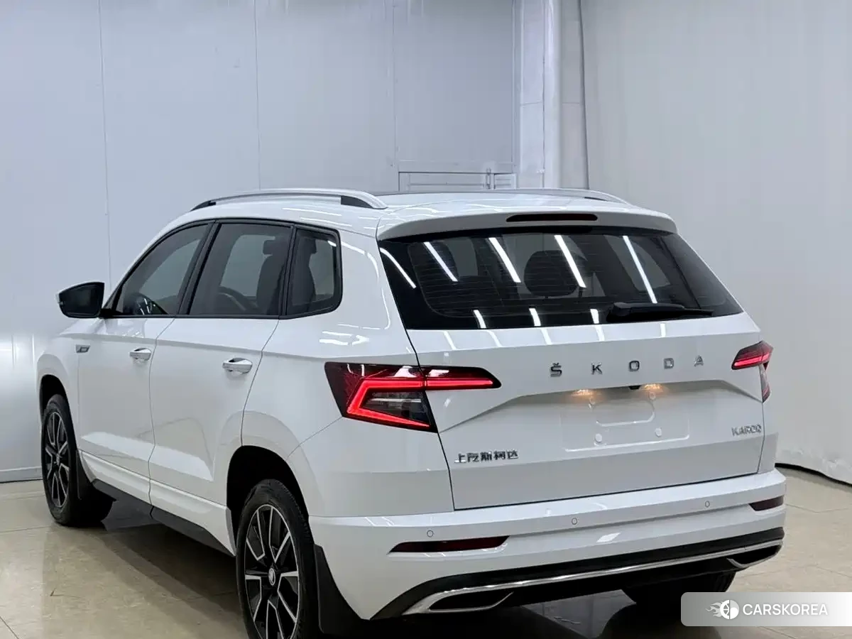 Skoda Karoq id 4686278 из Китая 9