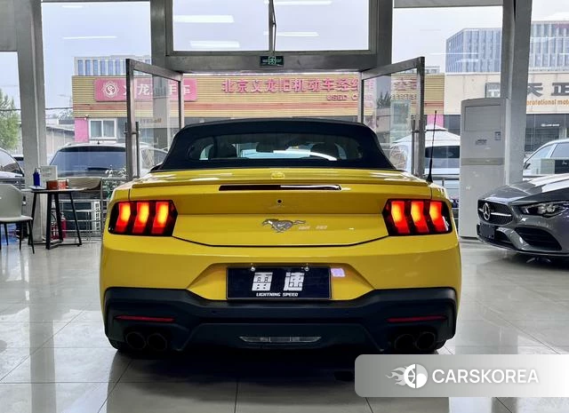 Ford Mustang id 4209132 из Китая 9