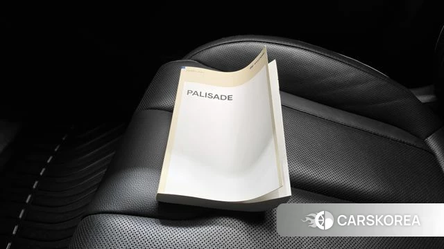 Hyundai Palisade id 4754206 из Кореи 9