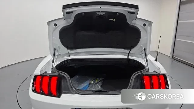 Ford Mustang id 3355410 из Кореи 9