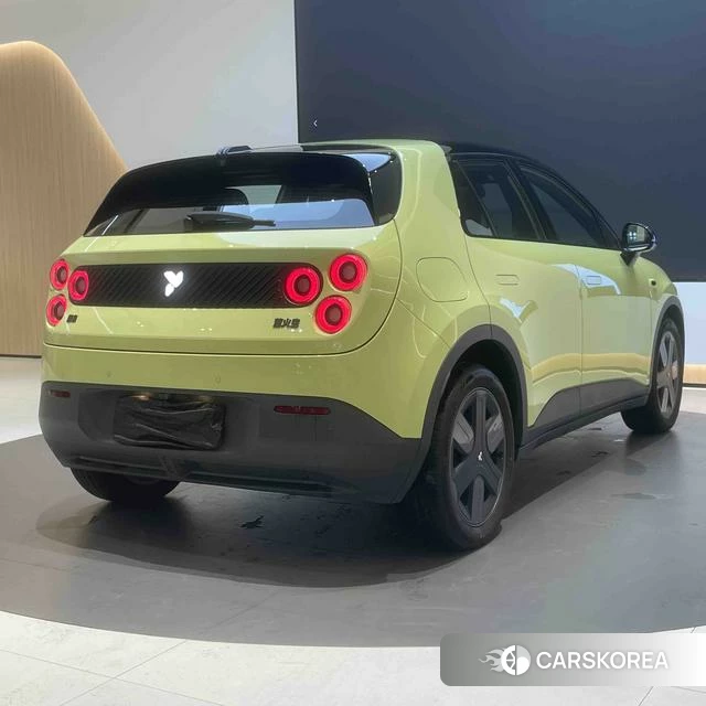 firefly firefly Unknown id 3993585 из Китая 9